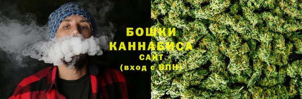 тгк Осинники
