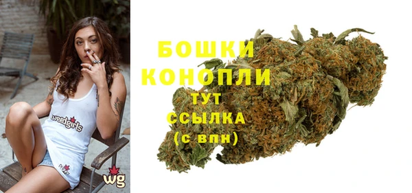spice Осташков