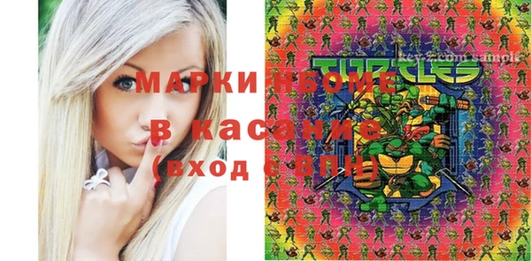 молекула духа Пересвет